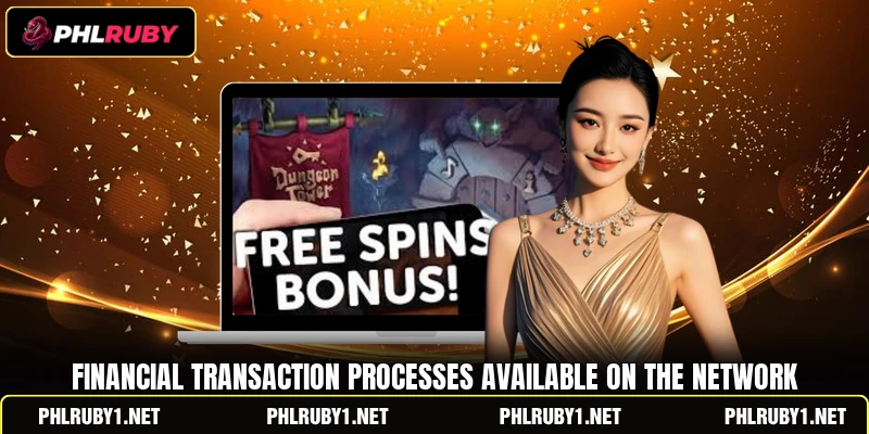 Financial transaction processes available on the network